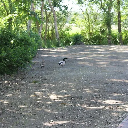 3 Im Boehler Haubarg Sankt Peter-Ording